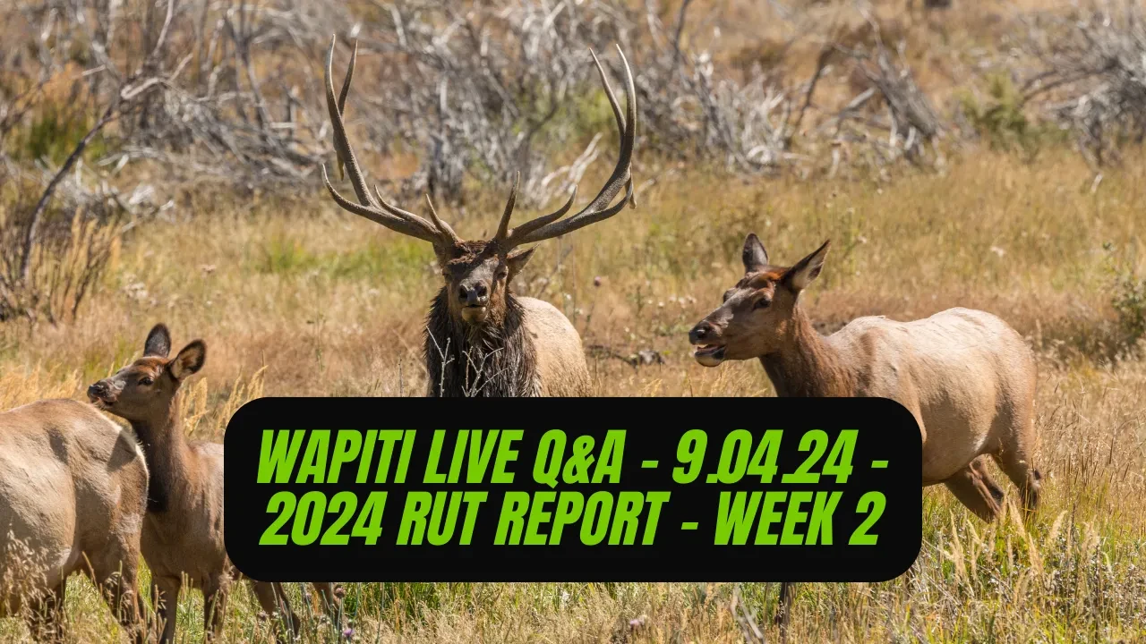 REPLAY - Wapiti Live Q&A - 9.04.24 - 2024 Rut Report - Week #2 lesson poster
