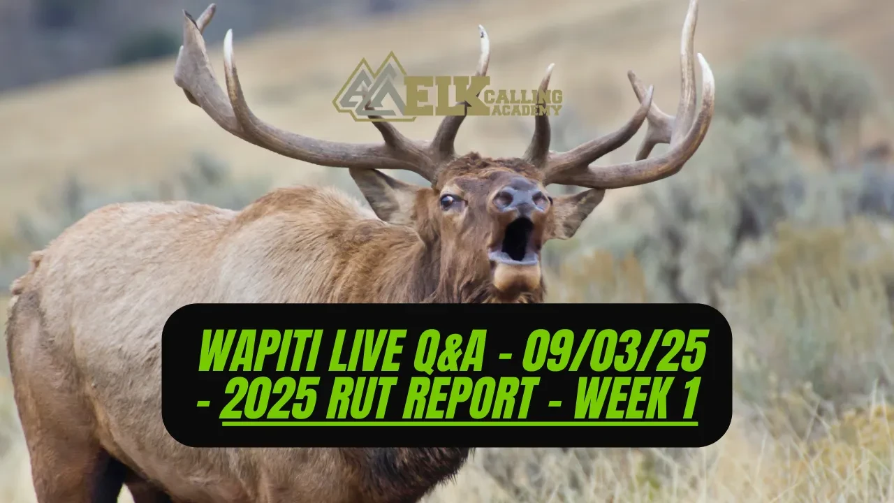 REPLAY - 2025 Rut Report - Week 1 lesson poster
