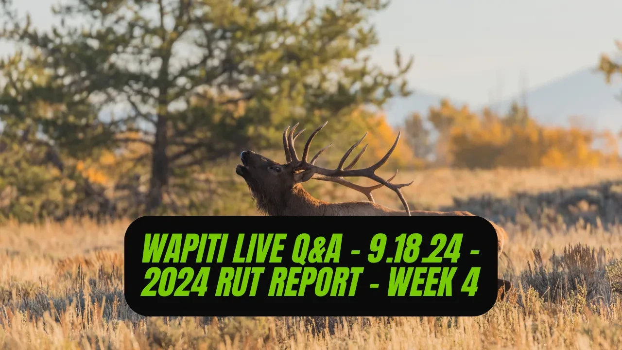REPLAY - Wapiti Live Q&A - 9.18.24 - 2024 Rut Report - Week 4 lesson poster