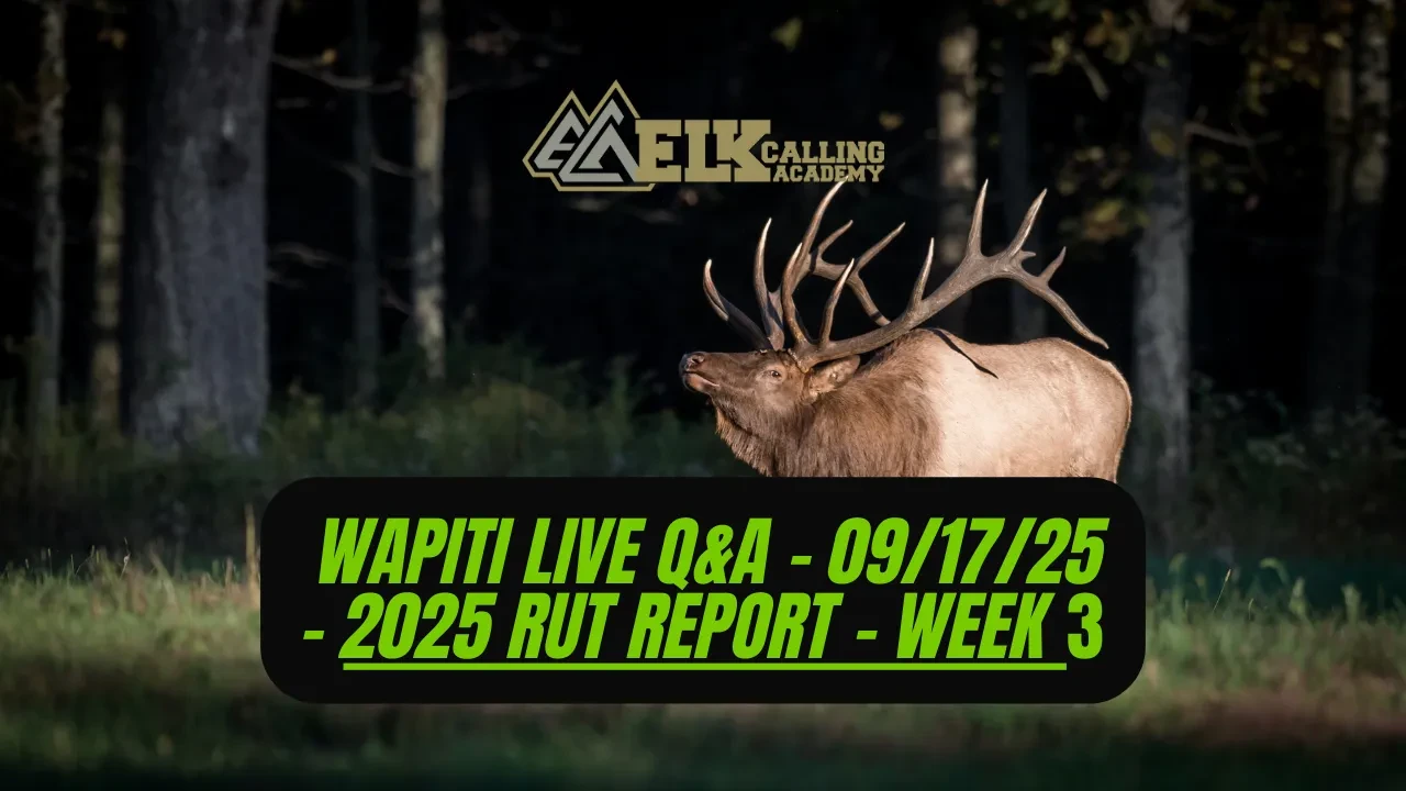 REPLAY - 2025 Rut Report - Week 3 lesson poster