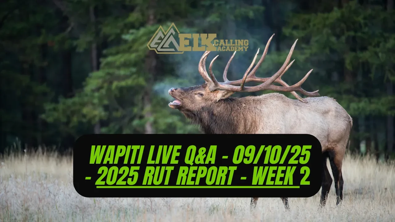REPLAY - 2025 Rut Report - Week 2 lesson poster
