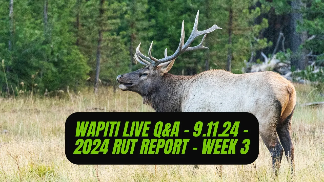 REPLAY - Wapiti Live Q&A - 9.11.24 - 2024 Rut Report - Week 3 lesson poster