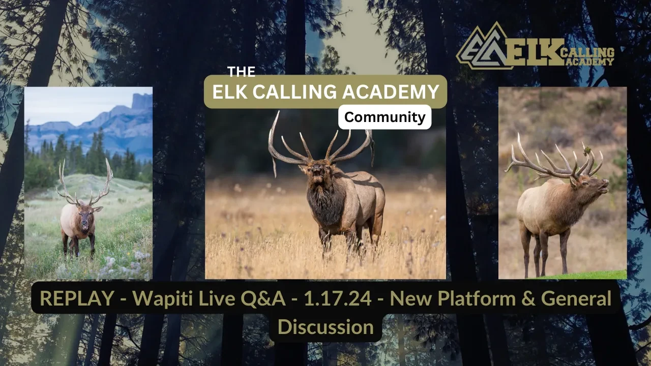 REPLAY - Wapiti Live Q&A - 1.17.24 - New Platform & General Discussion lesson poster