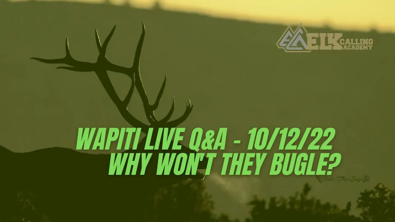 REPLAY - Wapiti Live Q&A 10/12/2022- Why Won't They Bugle? lesson poster