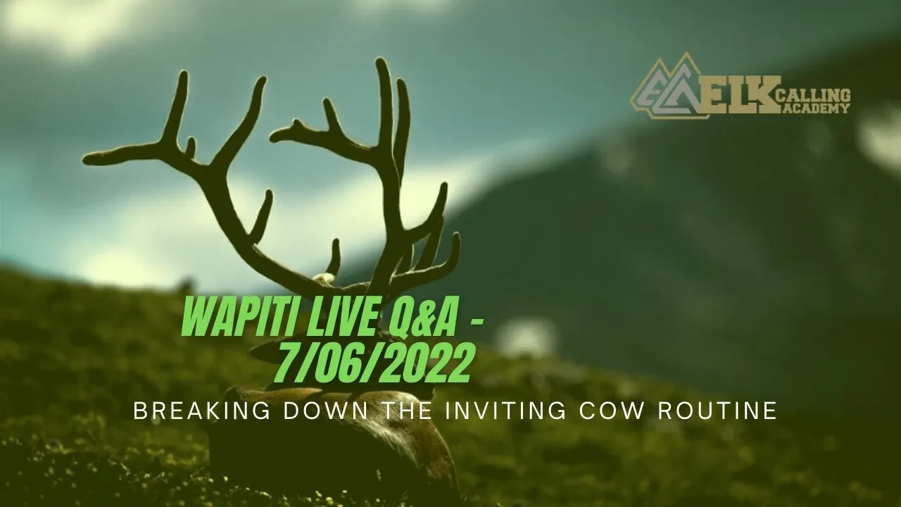 REPLAY - Wapiti Live Q&A 7.06.22 - Breaking Down the Inviting Cow Routine! lesson poster