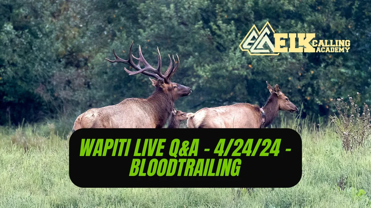 REPLAY - Wapiti Live Q&A - 4.24.24 - Blood Trailing lesson poster