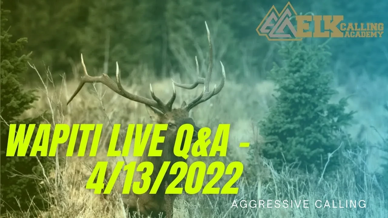 REPLAY - Wapiti Live Q&A - 4.13.2022 - Aggressive Calling lesson poster