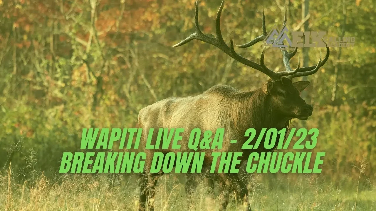 REPLAY - Wapiti Live Q&A 2/01/2023 - Breaking Down the Chuckle lesson poster