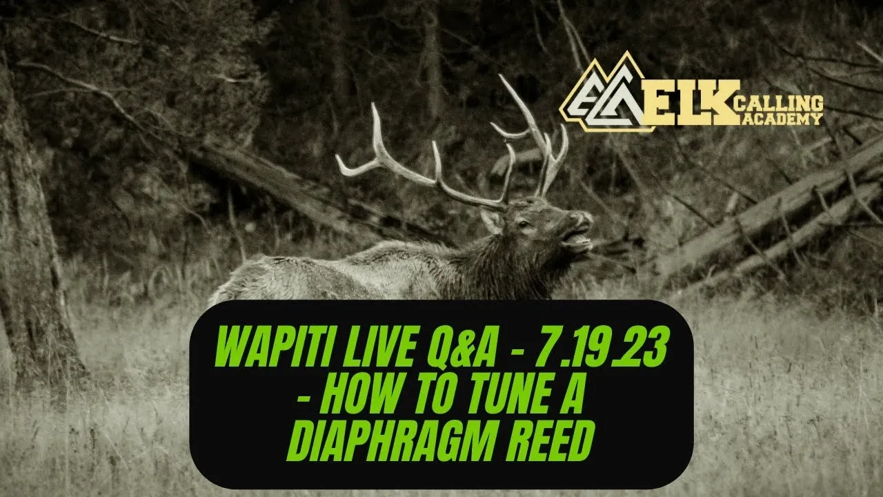 REPLAY - Wapiti Live Q&A - 7.19.23 - How To Tune a Diaphragm Reed lesson poster