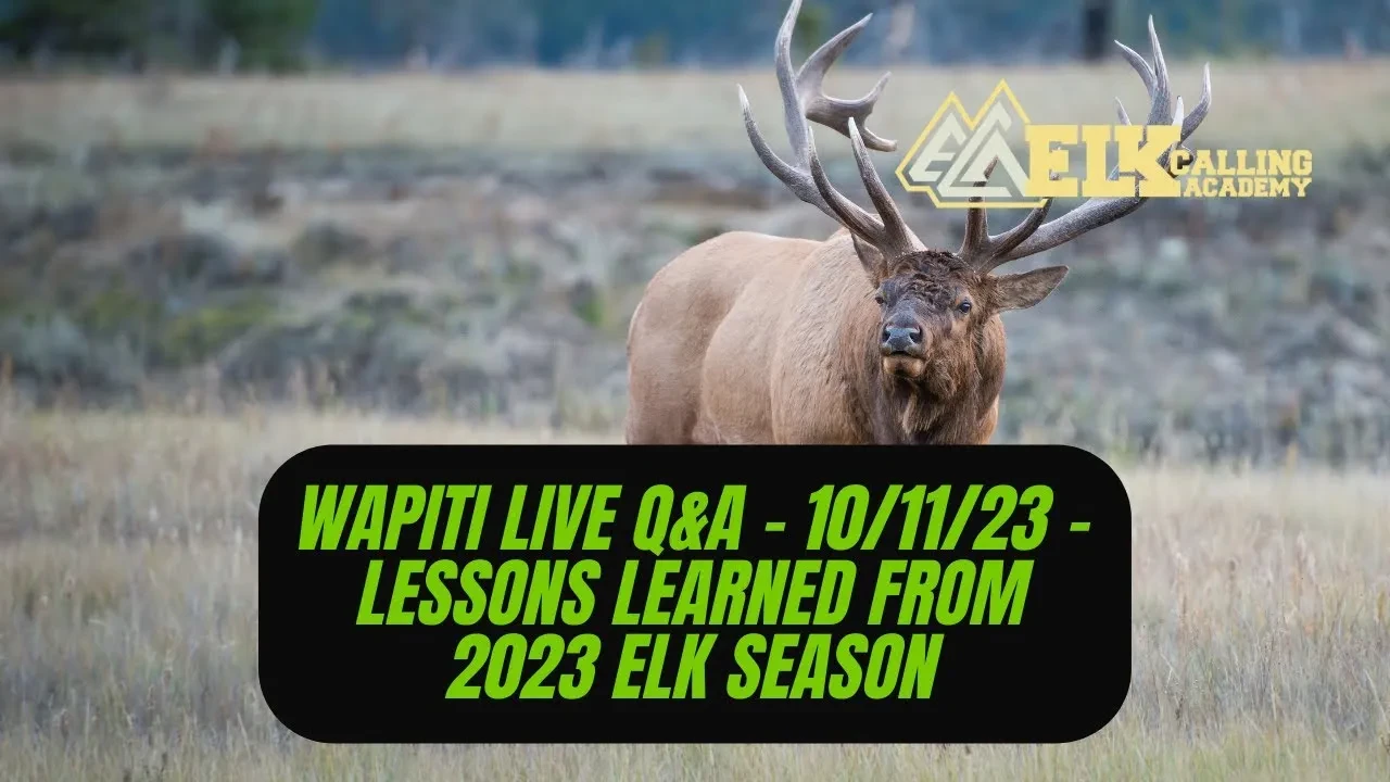 REPLAY - Wapiti Live Q&A - 10.11.23 - Lessons Learned From 2023 Elk Season lesson poster