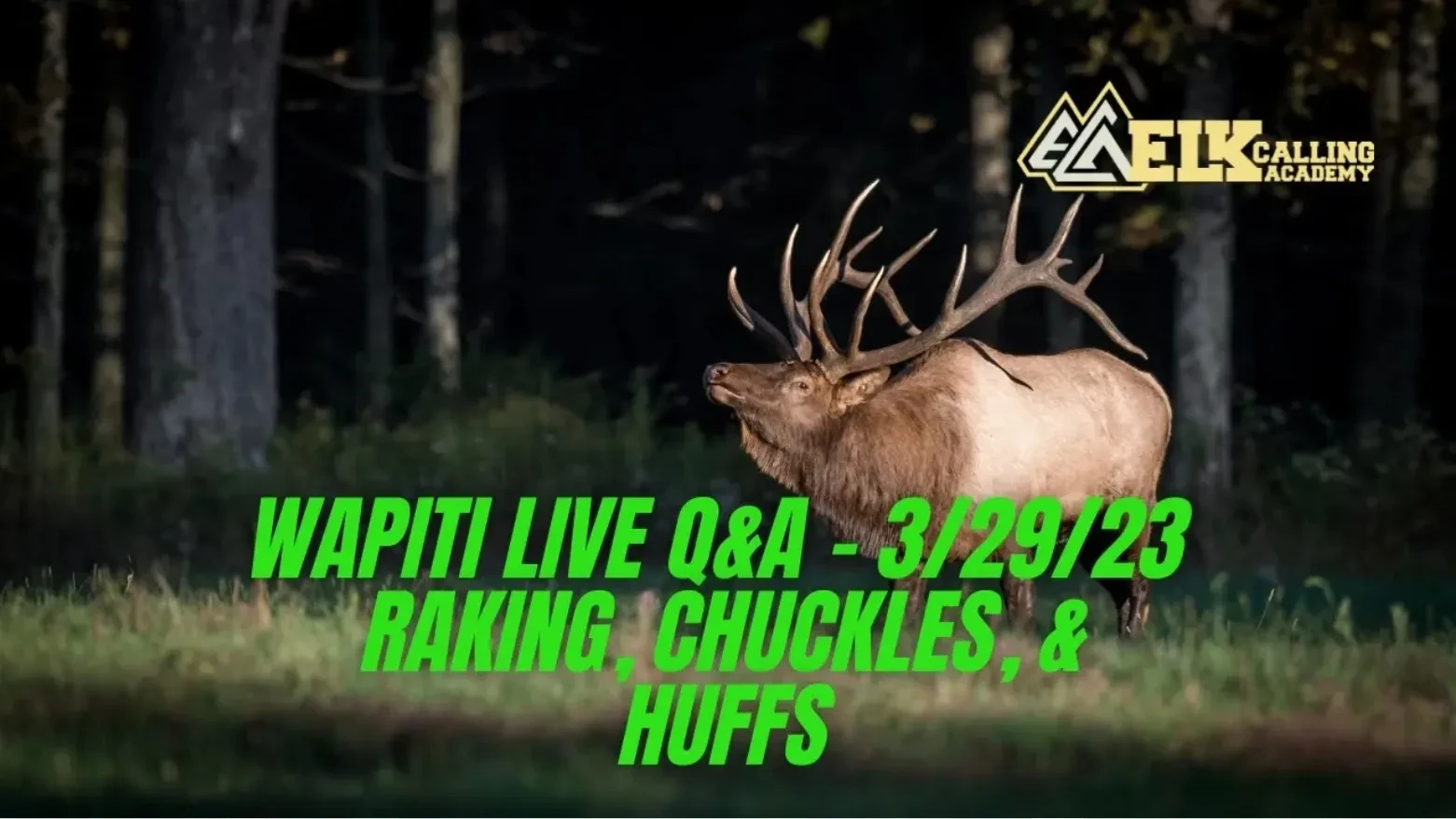 REPLAY - Wapiti Live Q&A - 3/29/23 Raking, Chuckles, & Huffs lesson poster