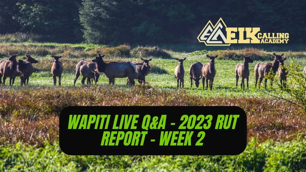 REPLAY - Wapiti Live 9.13.23 - 2023 Rut Report - Week 2 lesson poster