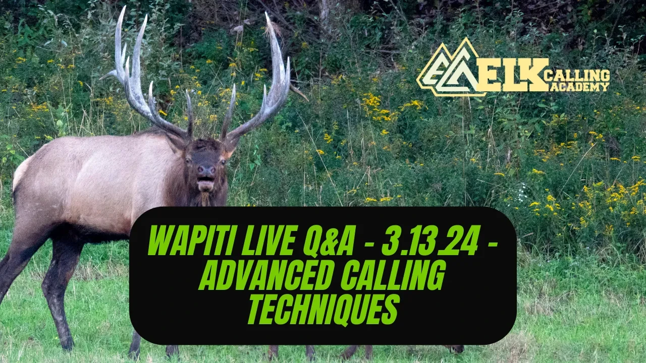REPLAY - Wapiti Live Q&A - 3.13.24 - Advanced Calling Techniques lesson poster