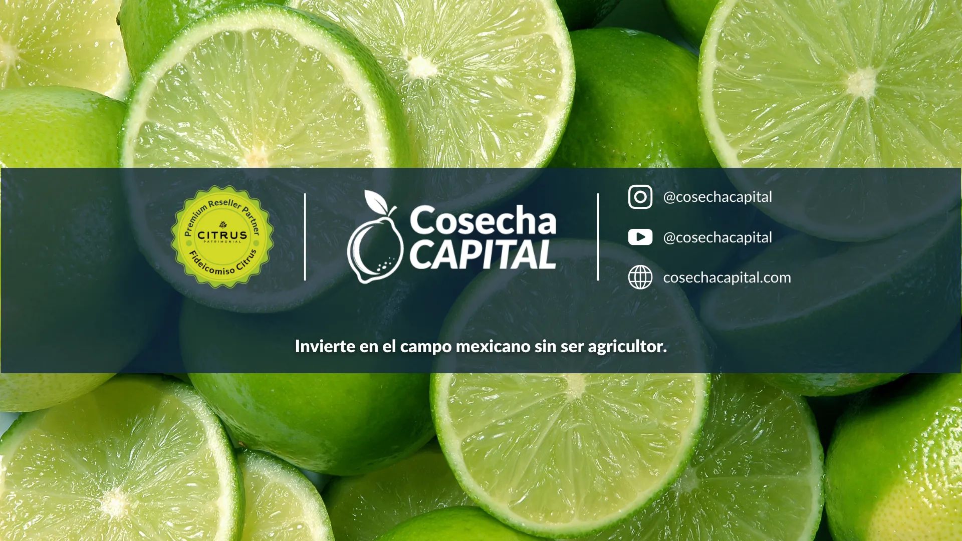 Curso 1 de Ventas CosechaCAPITAL