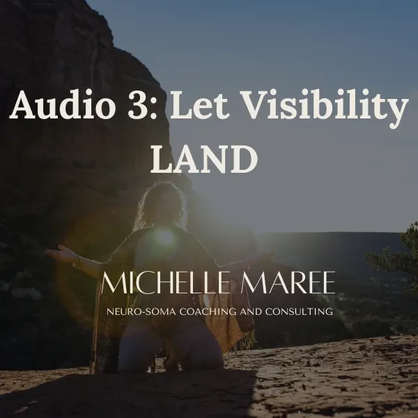 Audio 3: Let Visibility LAND lesson poster