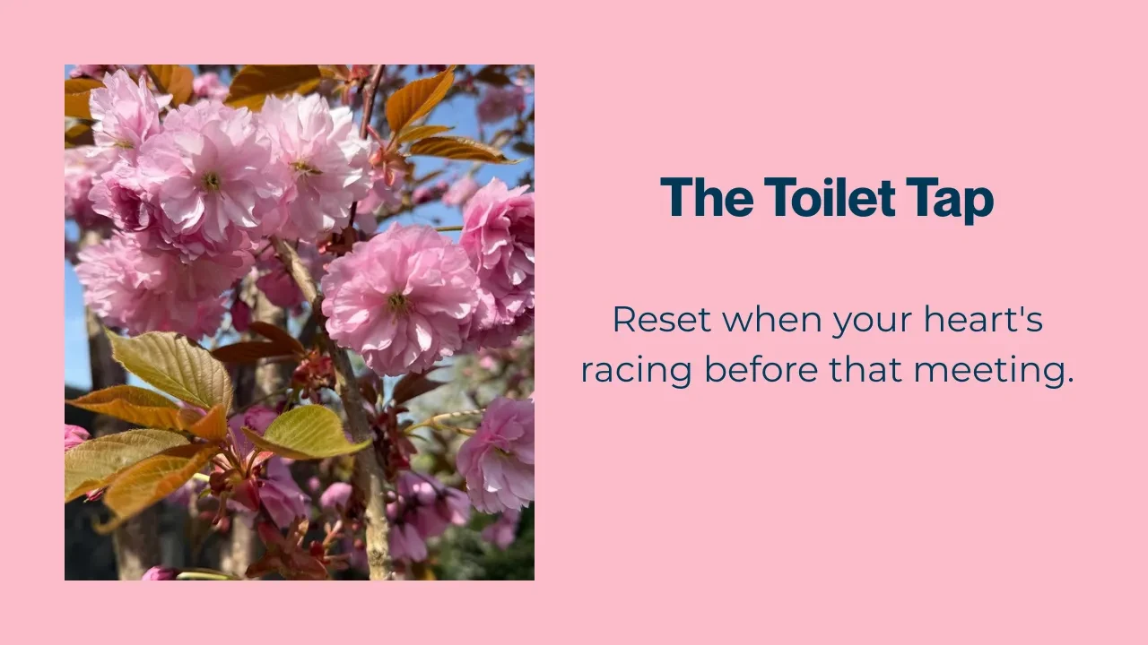 2 Min Toilet Tap - Reset when your heart's racing before that meeting lesson poster