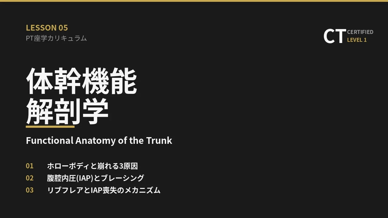 体幹機能解剖学 lesson poster