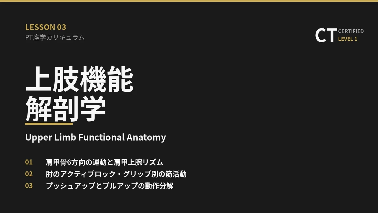 上肢機能解剖学 lesson poster