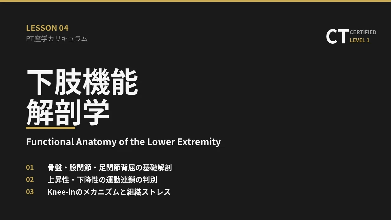 下肢機能解剖学 lesson poster