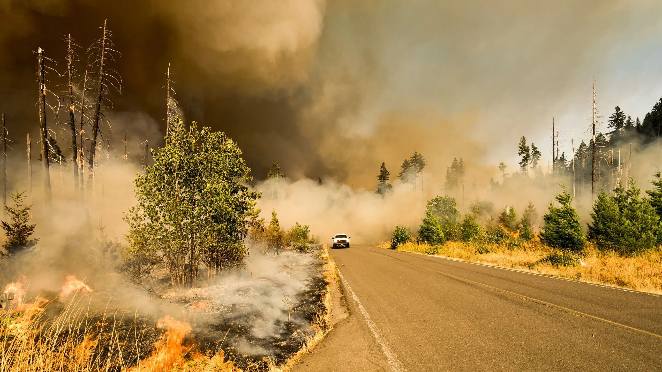 Webinar on Climate Change