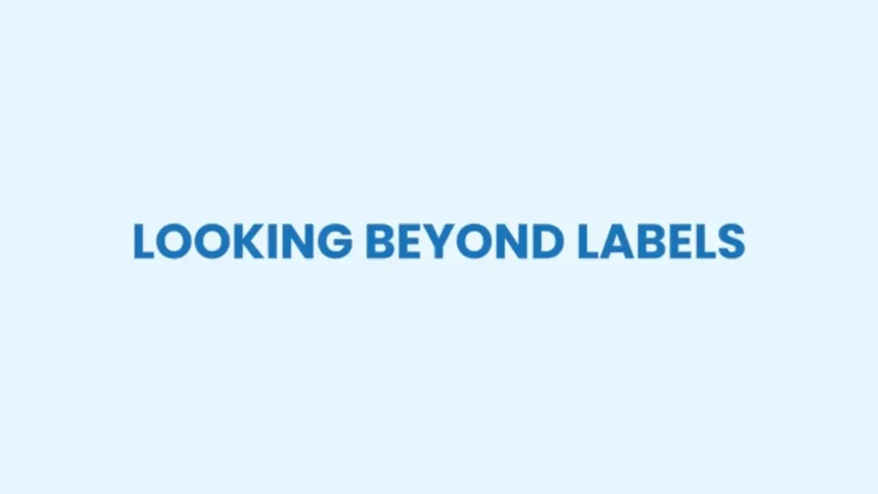 Part 2: Looking Beyond Labels lesson poster