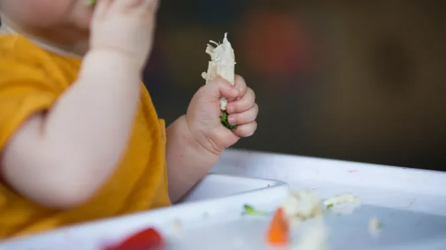 The Nourished First Foods Framework