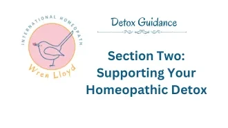 Section Two: Supporting Your Homeopathic Detox lesson poster