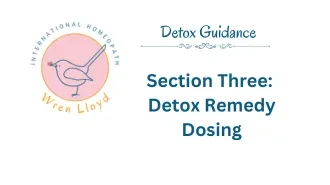 Section Three: Detox Remedy Dosing lesson poster
