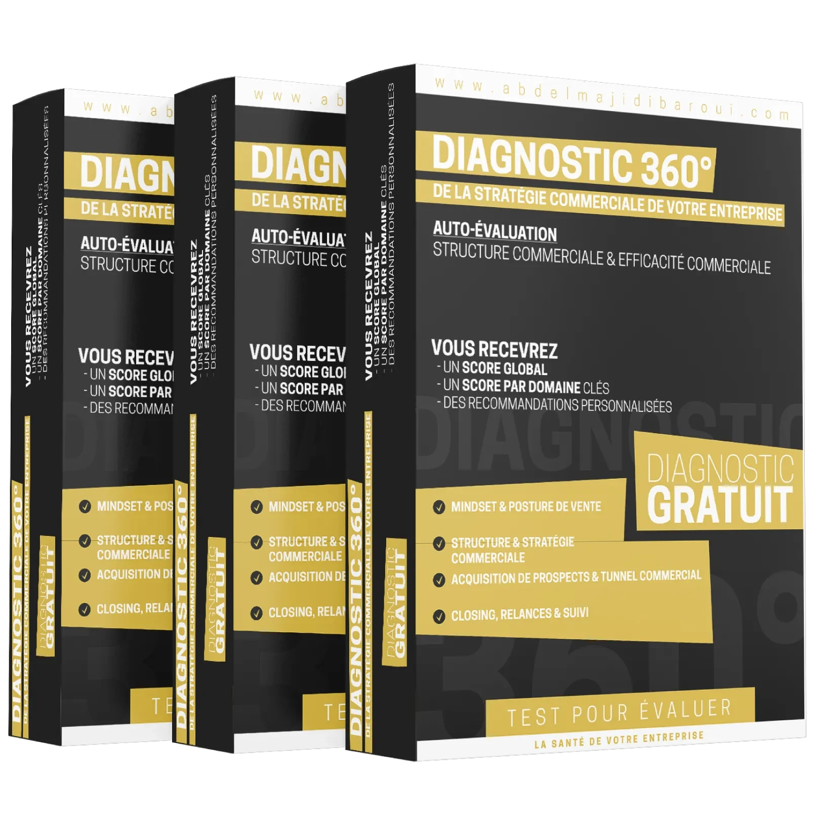 Bonus #1: Réalisez le Diagnostic 360° de la Stratégie Commerciale de votre entreprise. lesson poster