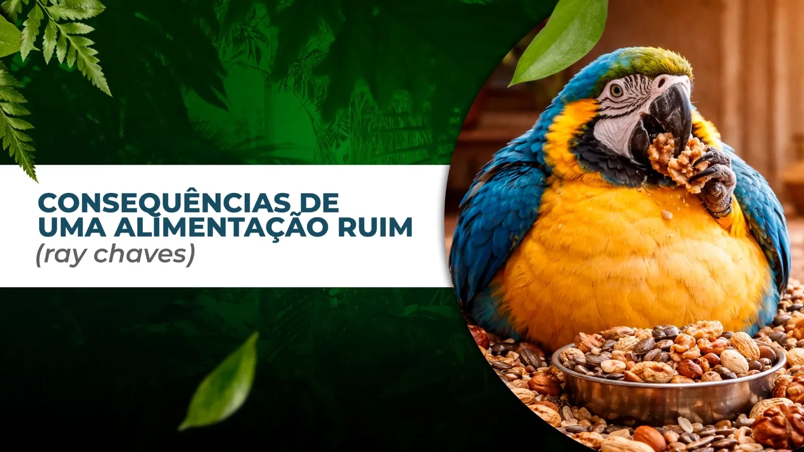 CONSEQUENCIAS DE UMA ALIMENTAÇÃO RUIM (Ray Chaves) lesson poster