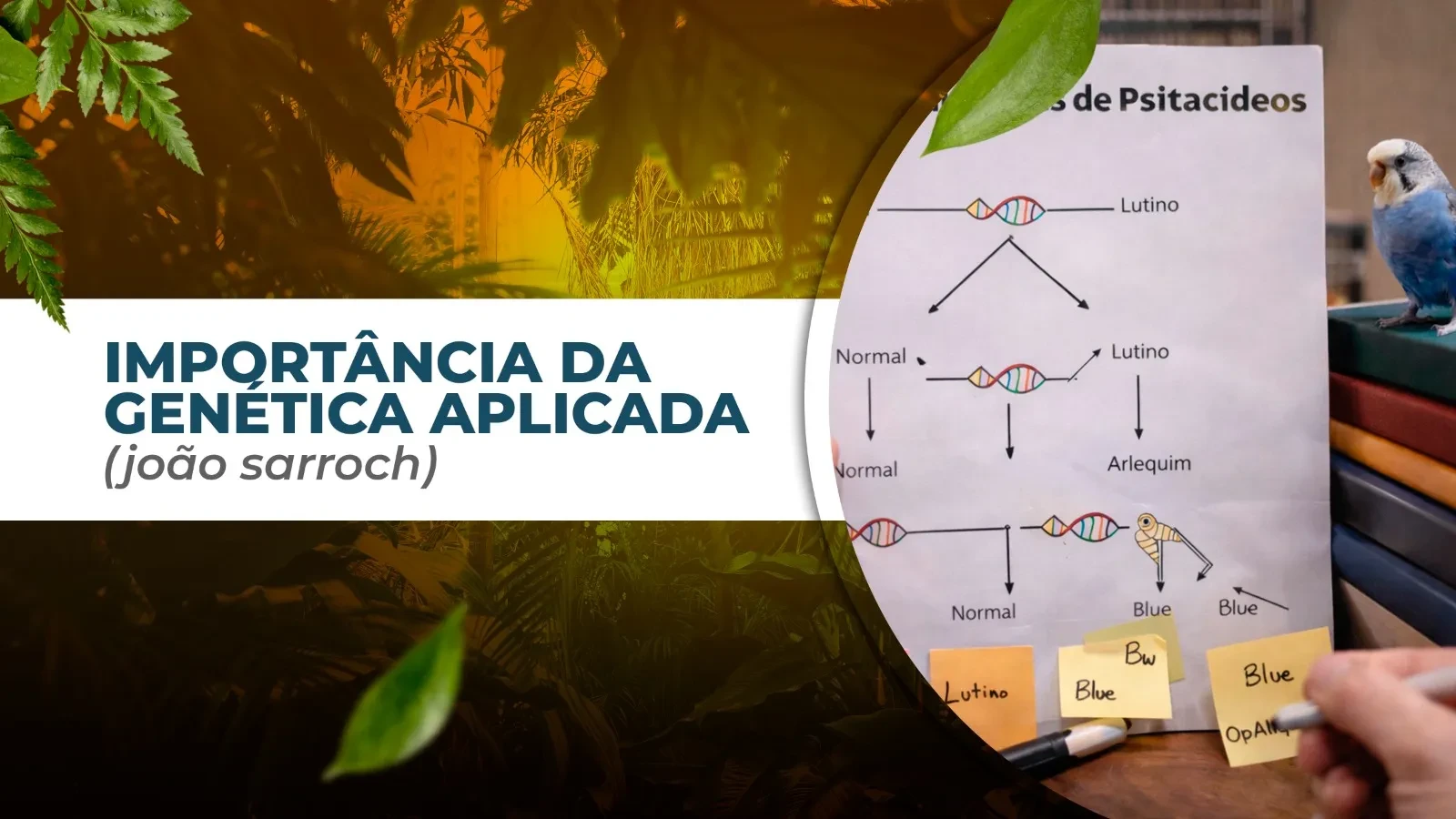 INTRODUÇÃO - Importância da genética aplicada (João Sarroch) lesson poster