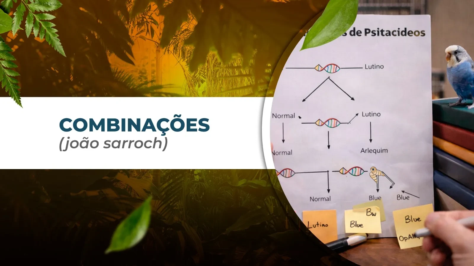 COMBINAÇÕES lesson poster