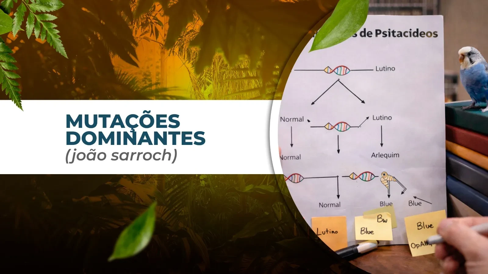 MUTAÇÕES DOMINANTES (João Sarroch) lesson poster