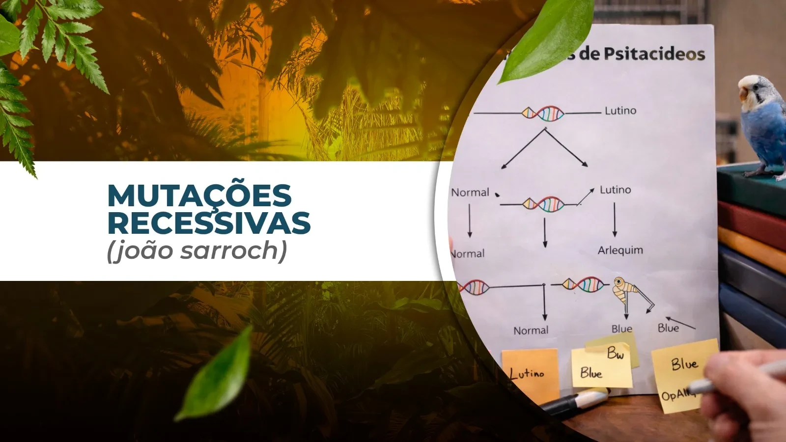 MUTAÇÕES RECESSIVAS (João Sarroch) lesson poster