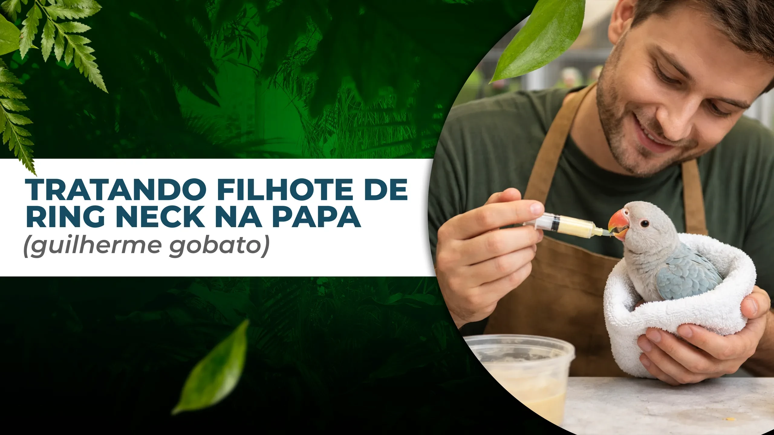 TRATO DE FILHOTES NA PAPA (Guilherme Gobato) lesson poster