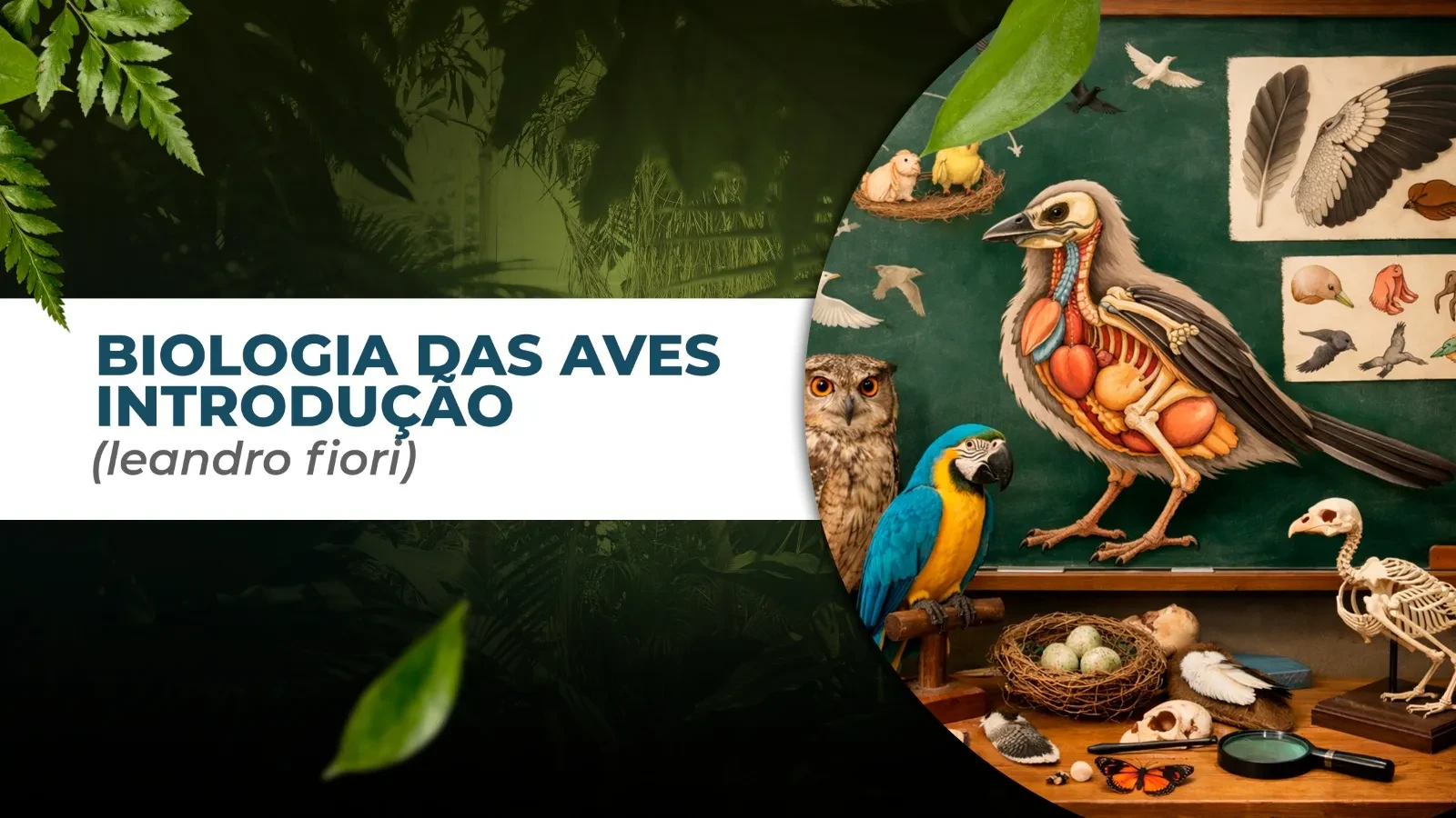 INTRODUÇÃO lesson poster