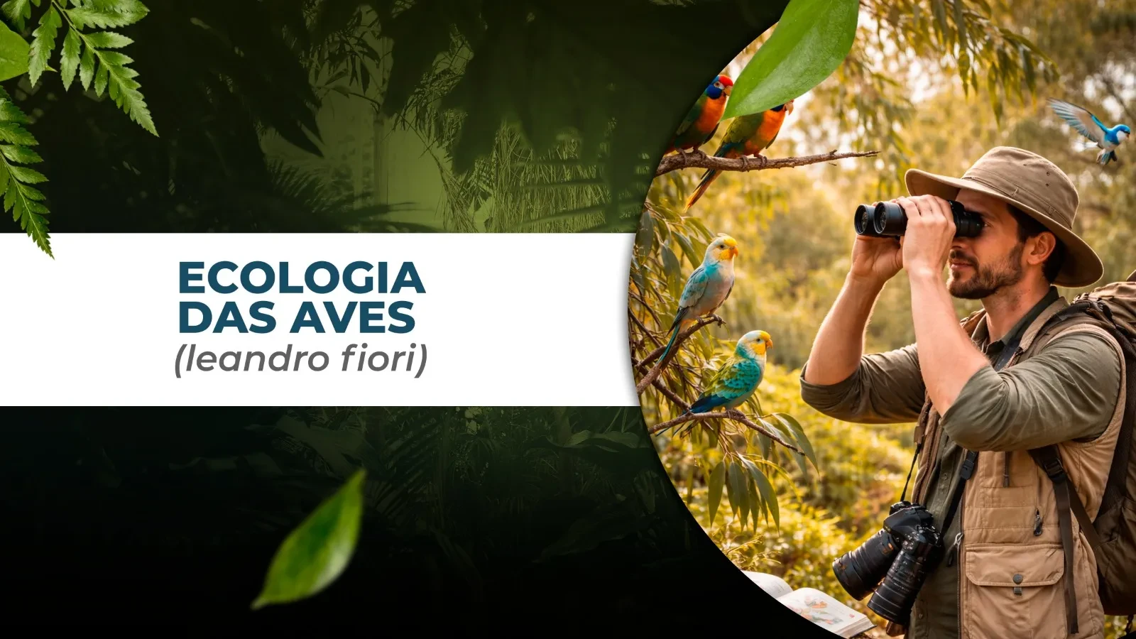 ECOLOGIA DAS AVES lesson poster