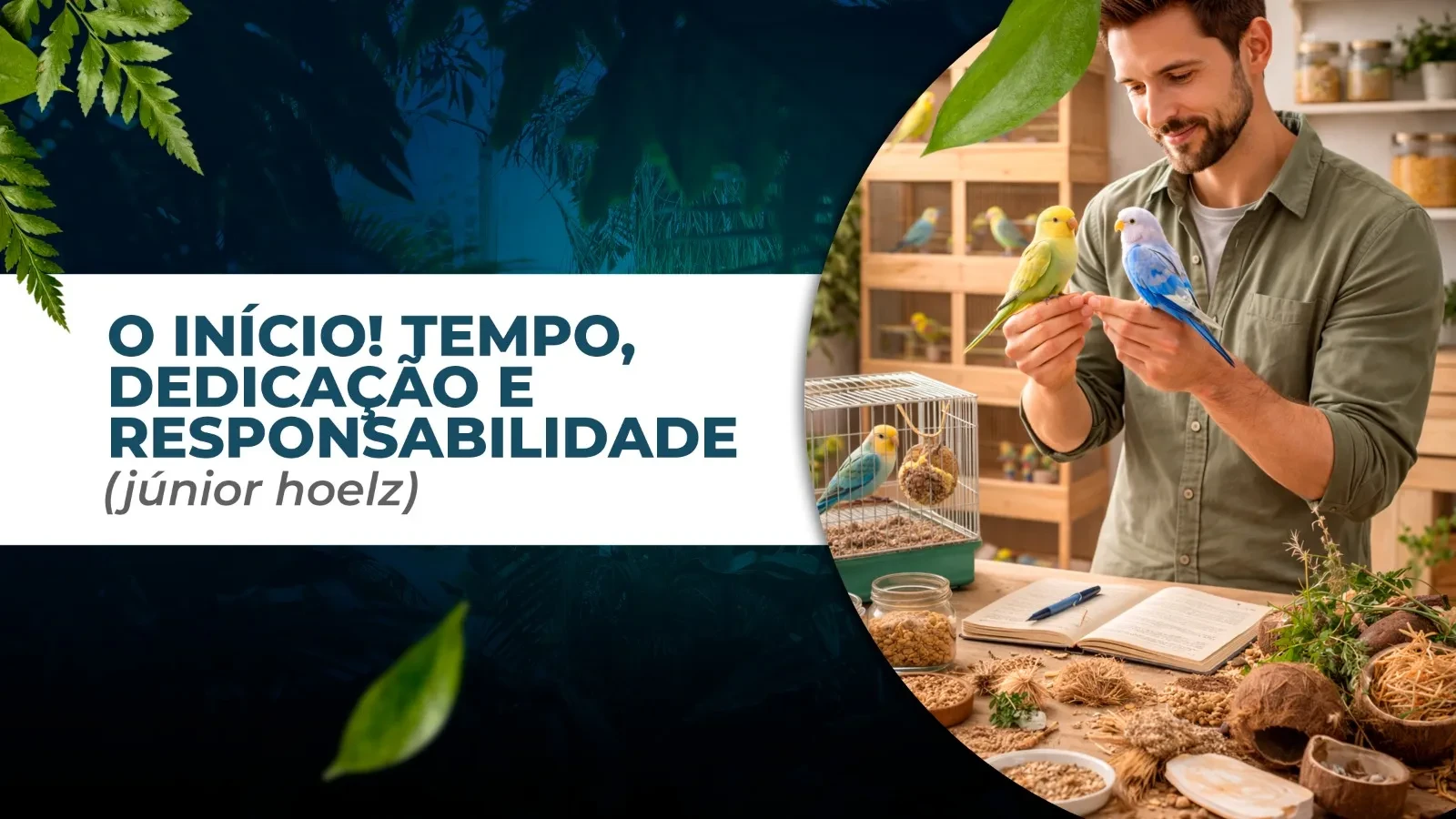 O INÍCIO (Júnior Hoelz) lesson poster