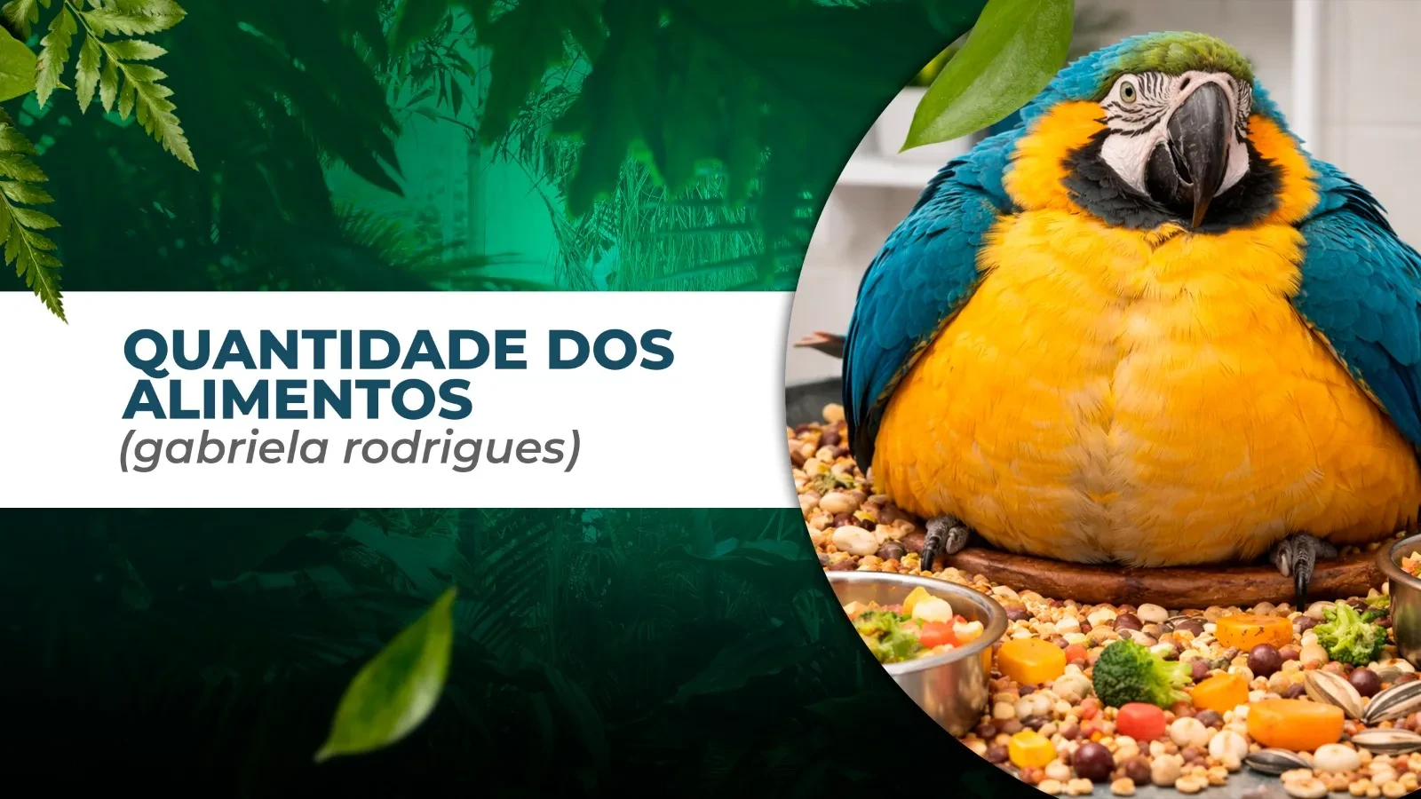 QUANTIDADE DE ALIMENTOS (Gabriela Rodrigues) lesson poster
