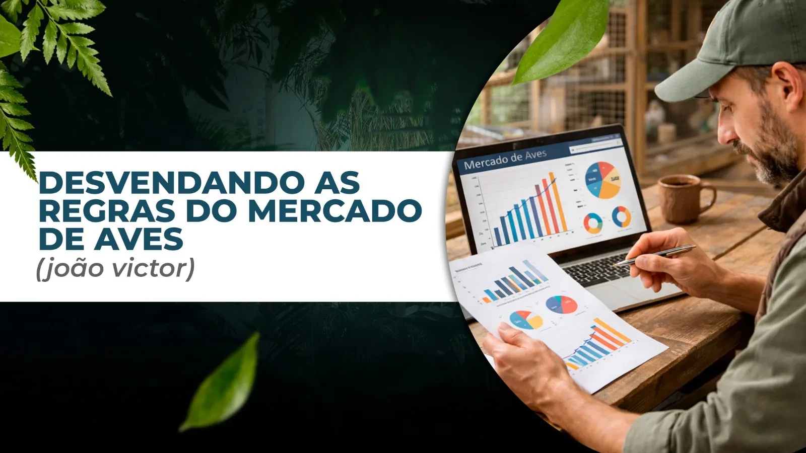 DESVENDANDO AS REGRAS DO MERCADO (João Victor) lesson poster