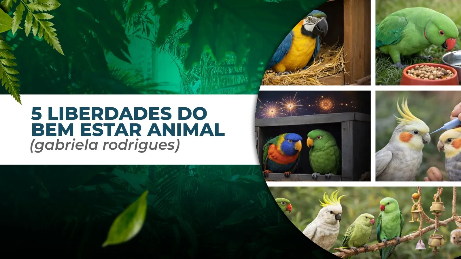 AS 5 LIBERDADES DO BEM ESTAR ANIMAL (Gabriela Rodrigues) lesson poster