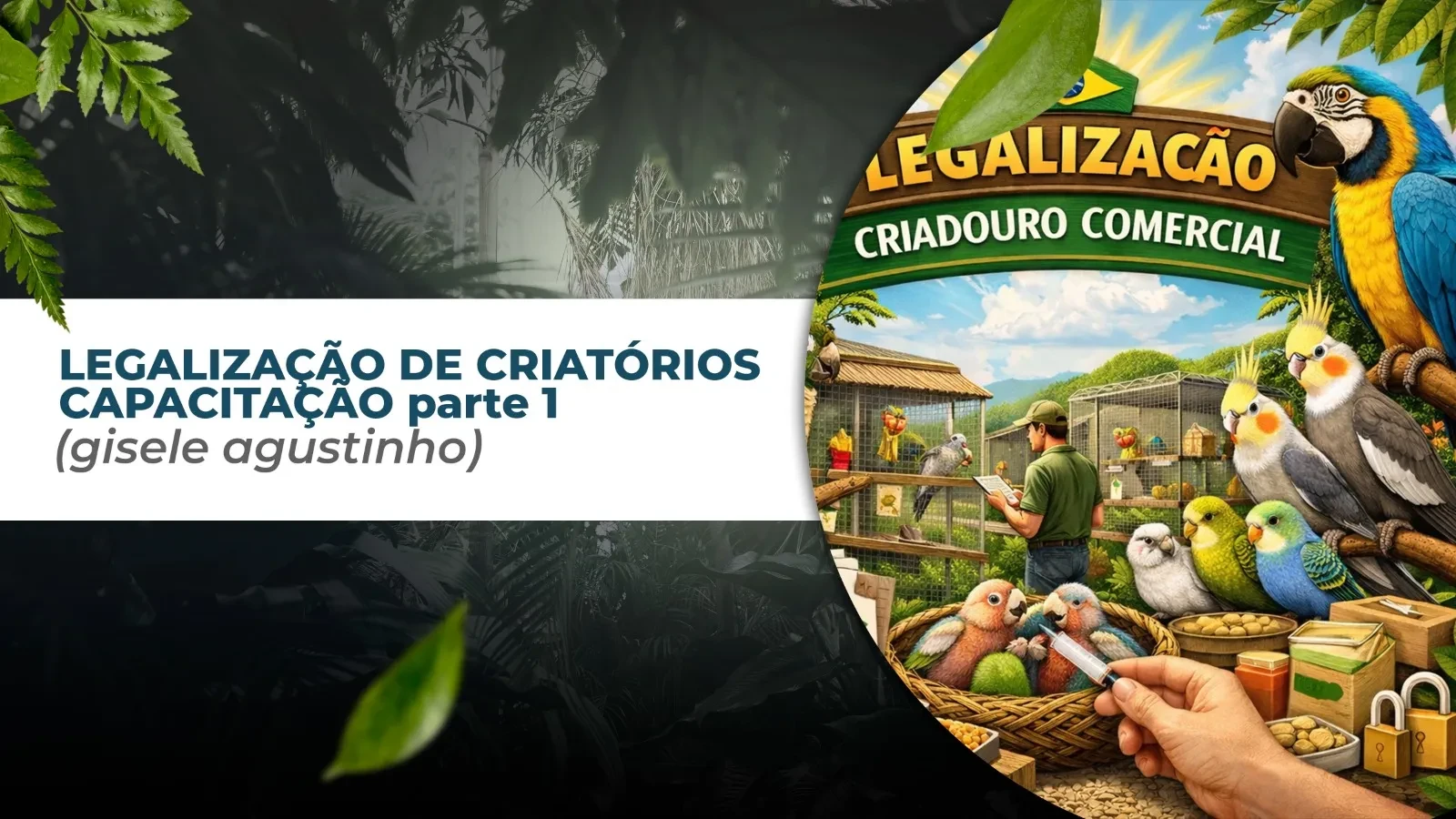CAPACITAÇÃO - PARTE l (Gisele Agustinho) lesson poster