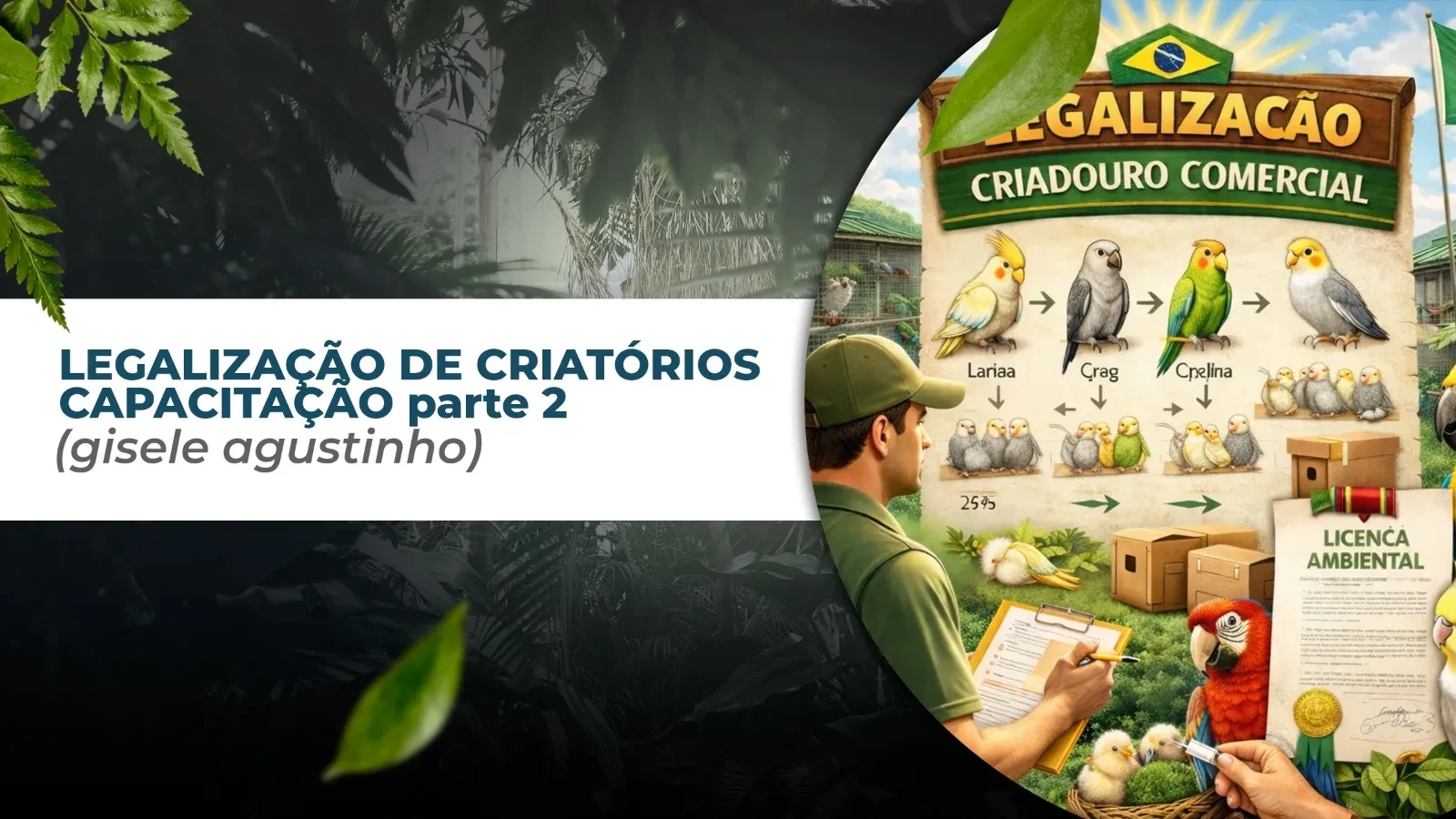 CAPACITAÇÃO PARTE ll (Gisele Agustinho) lesson poster
