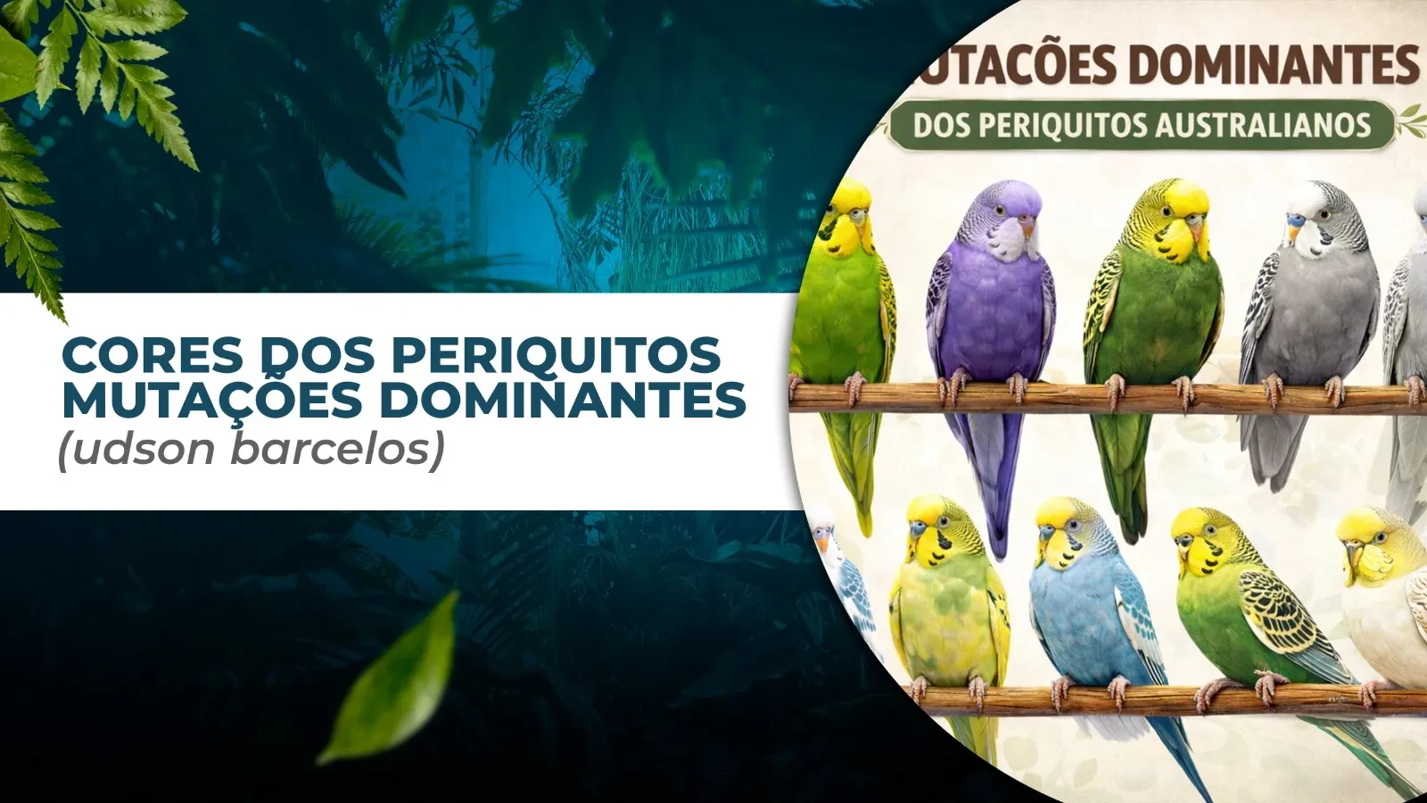 MUTAÇÕES DOMINANTES (Udson Barcelos) lesson poster