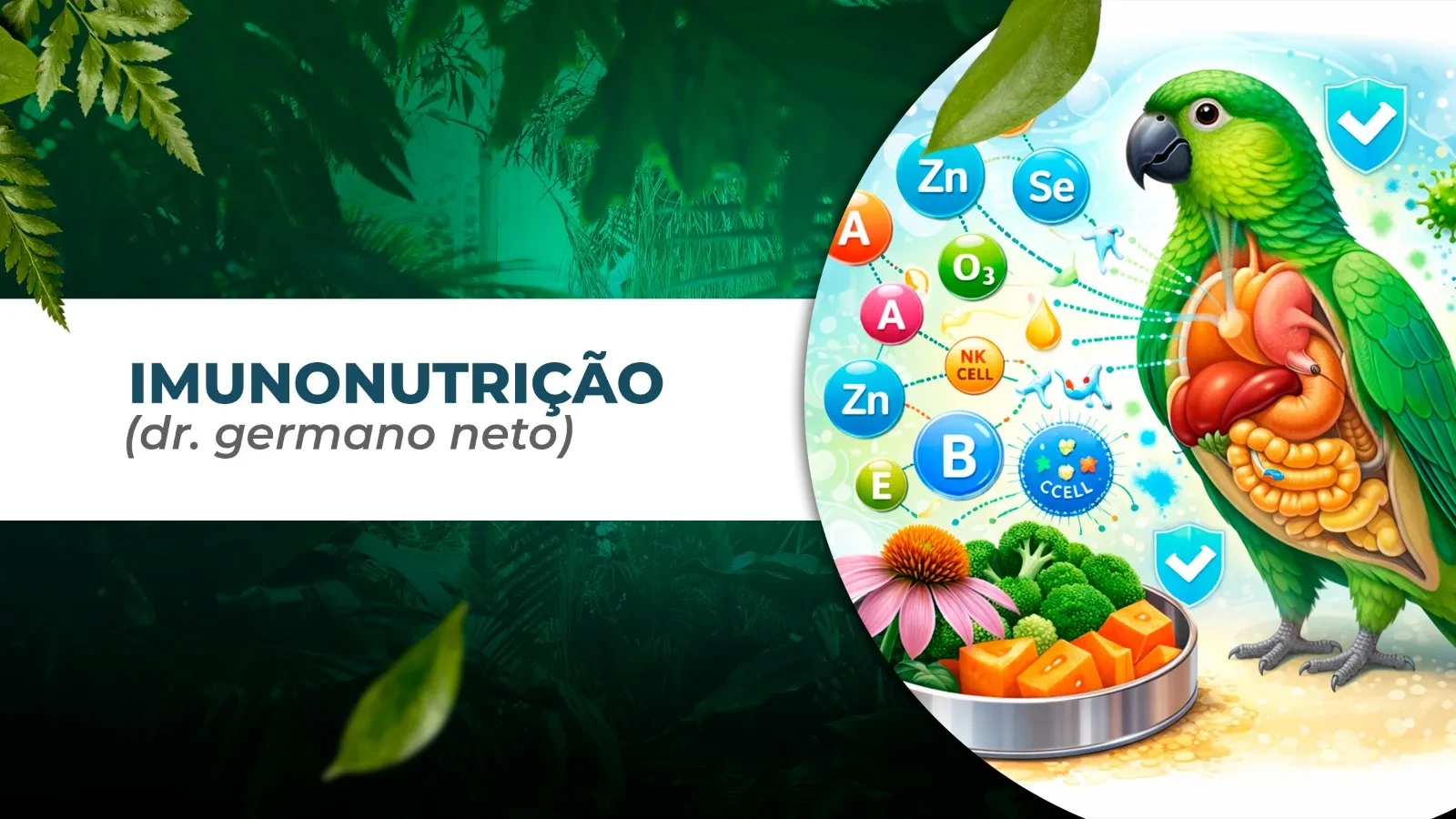IMUNONUTRIÇÃO - PARTE l (Germano Neto) lesson poster