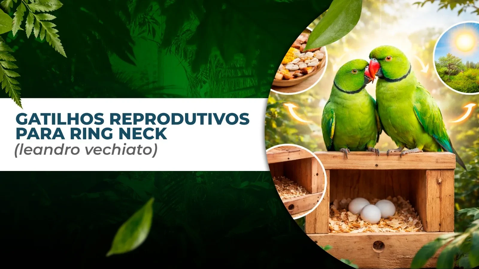GATILHOS REPRODUTIVOS (Leandro Vechiato) lesson poster