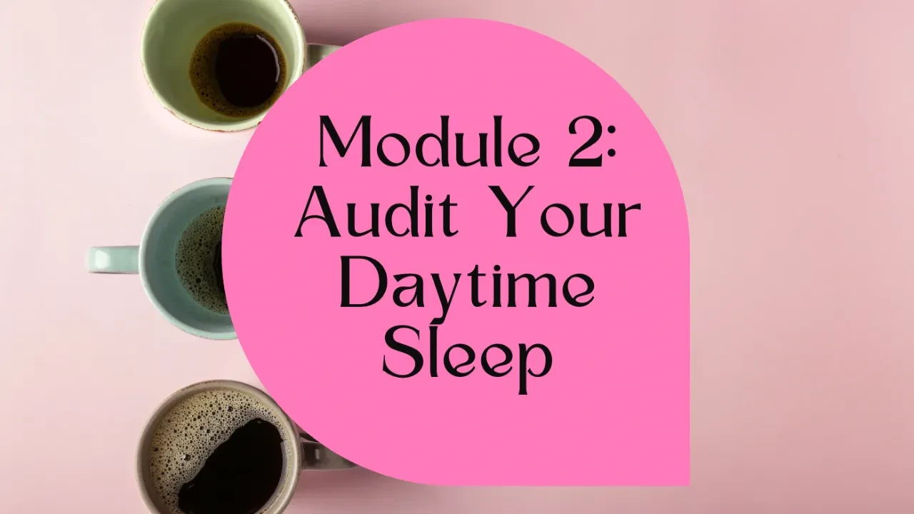 Module 2: Audit Your Daytime Sleep lesson poster