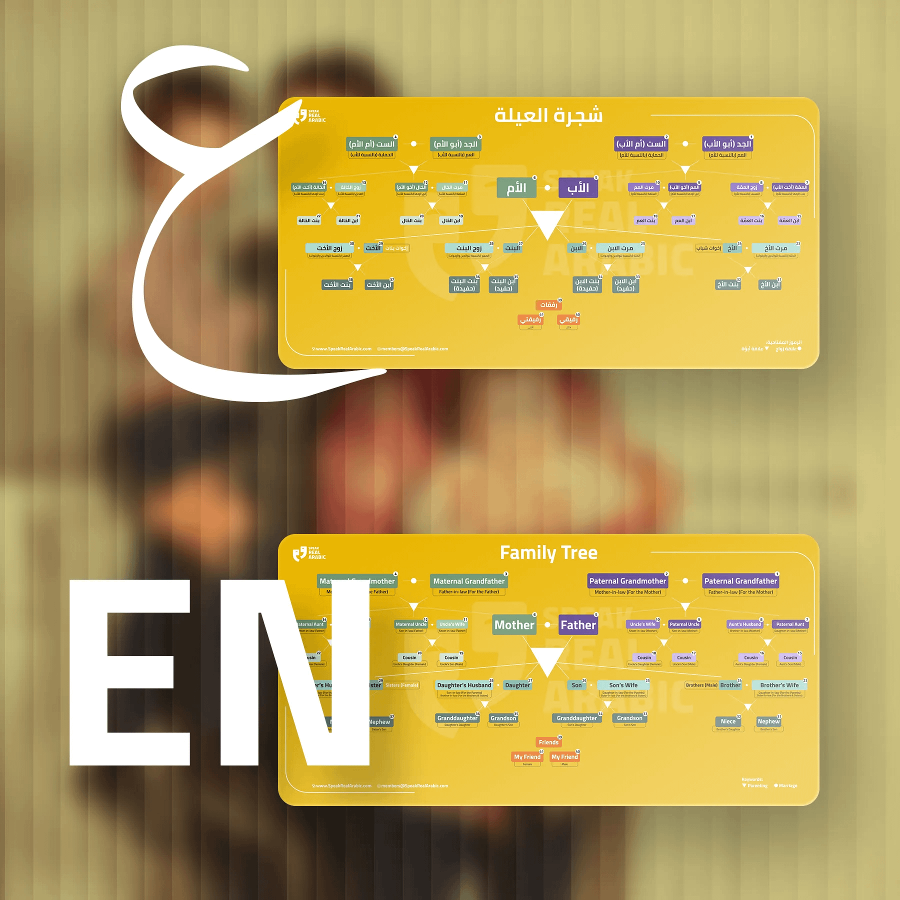 Family Tree