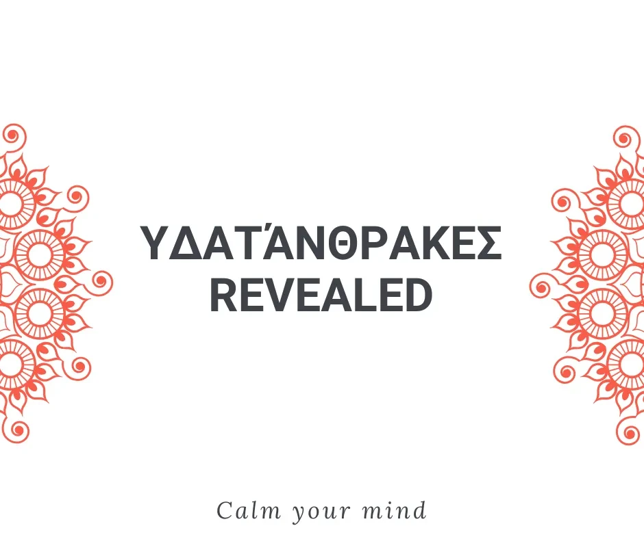 Υδατάνθρακες Revealed lesson poster