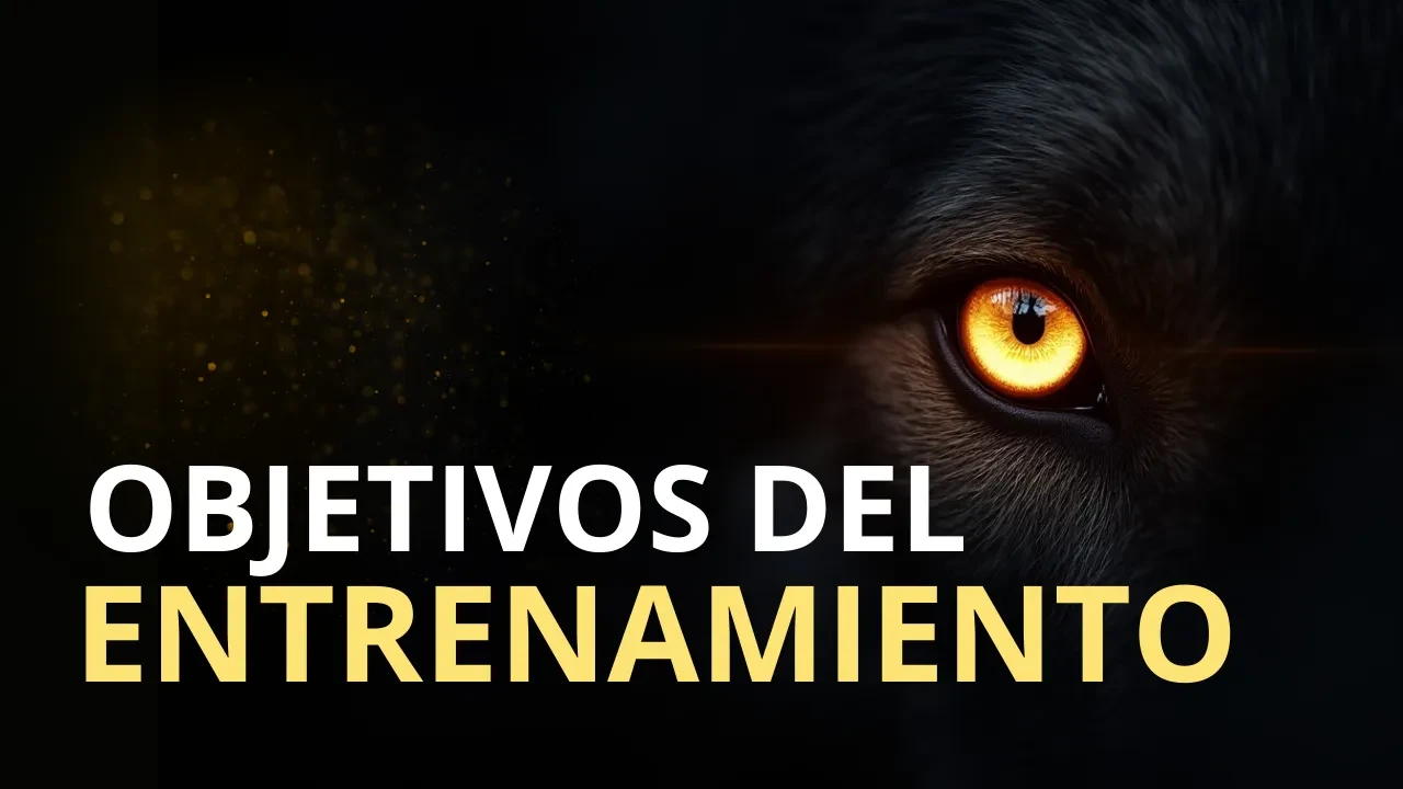 🎯 Módulo de Objetivos del Entrenamiento lesson poster